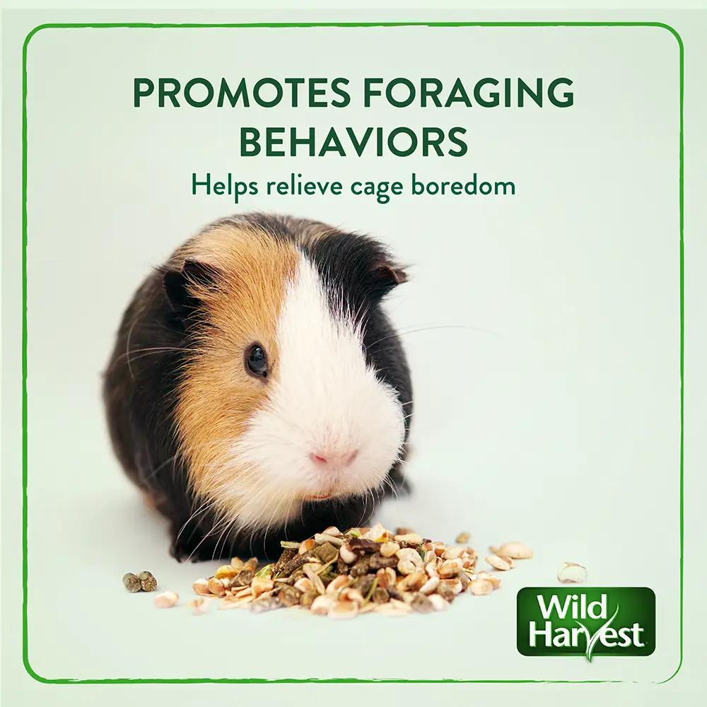 PROMOTES FORAGING BEHAVIORS Helps relieve cage boredom