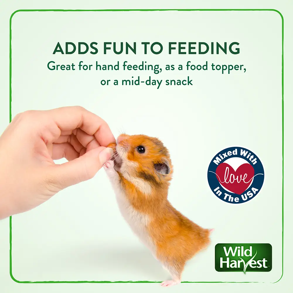 ADDS FUN TO FEEDING Great for hand feeding, as a food topper, or a mid-day snack