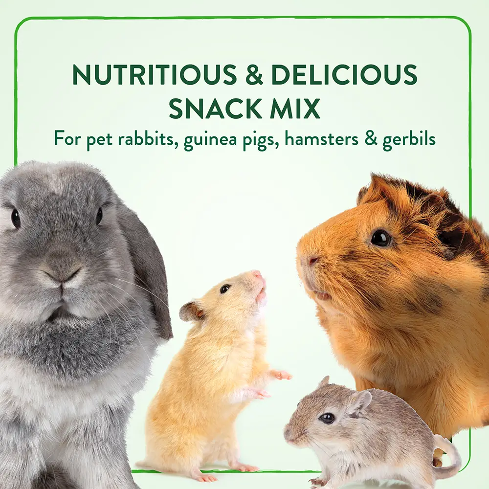 NUTRITIOUS & DELICIOUS SNACK MIX For pet rabbits, guinea pigs, hamsters & gerbils