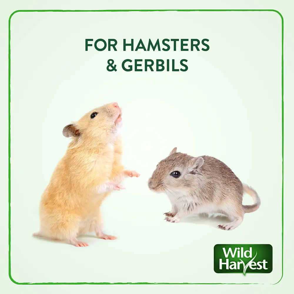 FOR HAMSTERS and GERBILS