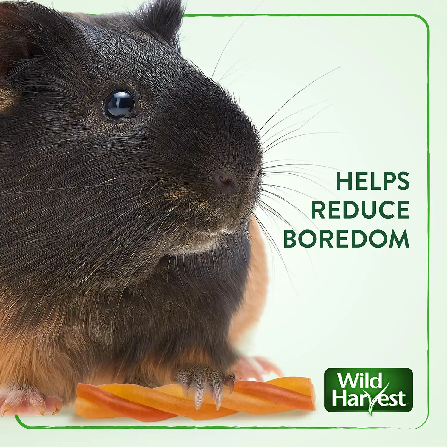 HELPS REDUCE BOREDOM